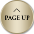 PAGE UP